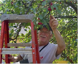 Photo of Garwin picking apples